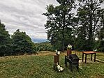 IMG_20210918_135015