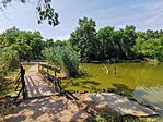 IMG_20220808_123841