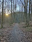 IMG_3218