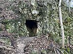 IMG_3220