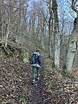 IMG_3226