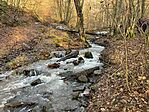 IMG_3169
