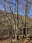 IMG_3178