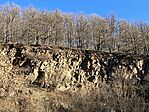 IMG_3179