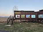 IMG_1301