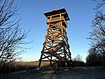 IMG_1316