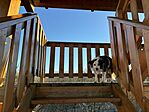 IMG_1319