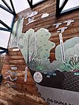 IMG_1107