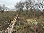 IMG_1116