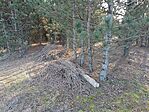 IMG_20240114_133612.jpg