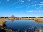 IMG_20240114_132607.jpg