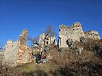 GCGims_20240121_141315