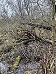 IMG_0372