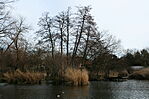 IMG_0960