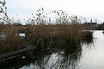 IMG_0964