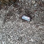 20240126_114429.jpg