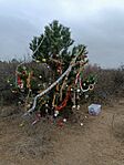 IMG_20240113_110717