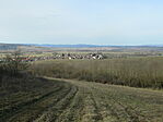 IMG_6111