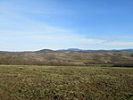 IMG_6138