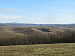 IMG_6140