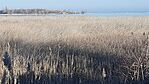GCcsma_20240121_144428