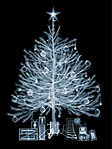 XRAY XMAS TREE