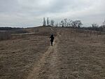 IMG_20240113_133853297_MFNR