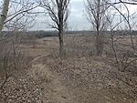 IMG_20240113_134913901_MFNR
