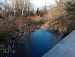 IMG_20240113_150830747_MFNR