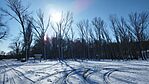 IMG_20240120_104023.jpg