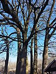 IMG_20240121_131612