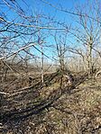 IMG_20240121_132556