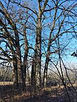 IMG_20240121_132826