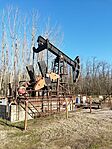 IMG_20240121_133531