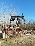 IMG_20240121_133537