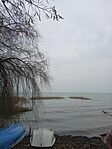 IMG_20240106_113159_1