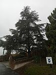 IMG_20240106_153102