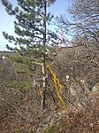 IMG_20240102_123112_1