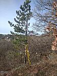 IMG_20240102_123123_1
