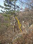 IMG_20240102_123102_1