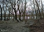IMG_20240103_133926_804