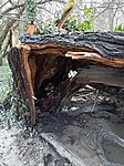 IMG_20240103_134315_356