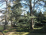DSCN1828