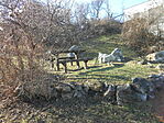 DSCN1887