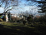 DSCN1877
