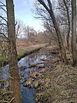 IMG_20240225_121506