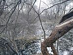 IMG_20240225_123649_1