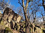 IMG_20240203_134620