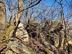 IMG_20240203_134736