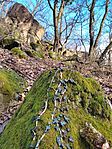 IMG_20240203_134859
